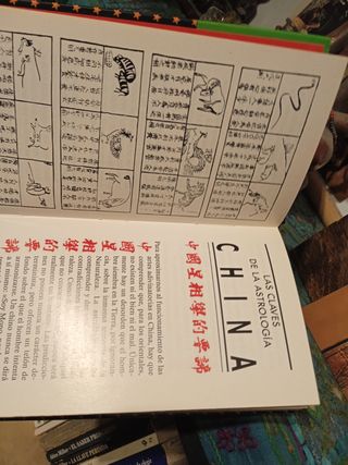 Horóscopo chino El Dragón Shao Hin