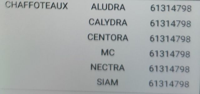 Llave de llenado caldera chaffoteaux