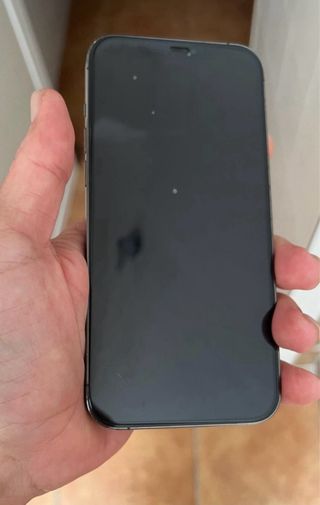 IPHONE 12 PRO MAX 256 GB
