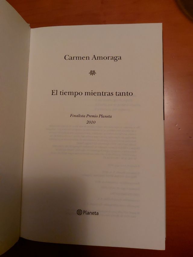 El tiempo mientras tanto