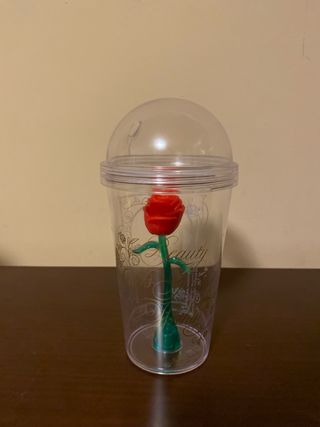 Oggetti da collezione La Bella e la Bestia