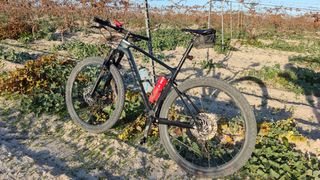 Giant XTC ADVANCE 29 3