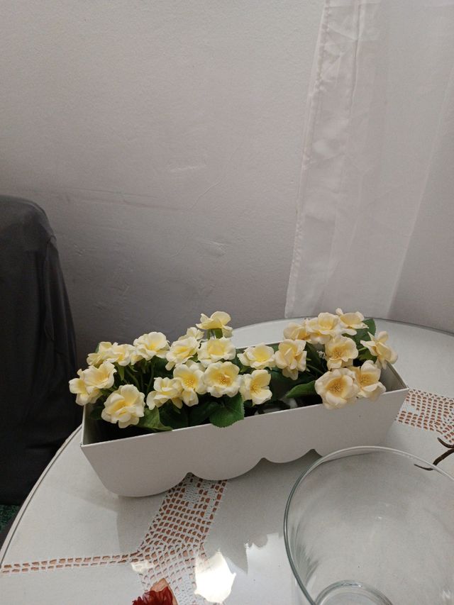 Lote de artículos de decoración