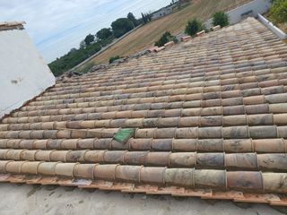 Cubiertas y tejas TLF.651429938