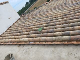 Cubiertas y tejas TLF.651429938