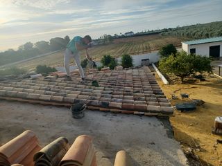 Cubiertas y tejas TLF.651429938