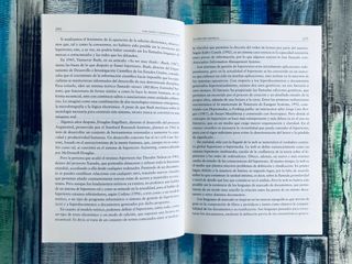 Evaluacion Calidad SEDES WEB 2007 Biblioteconomia