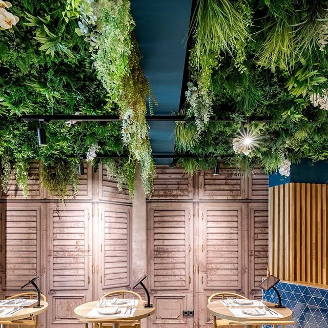 Decoración locales-negocios 🍀🌿