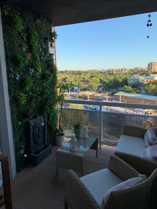 Decoración locales-negocios 🍀🌿