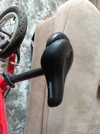 Bicicleta niño scoot