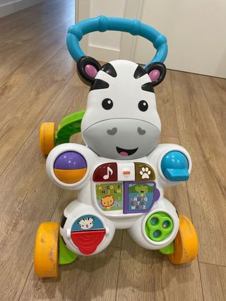 corre pasillos cebra