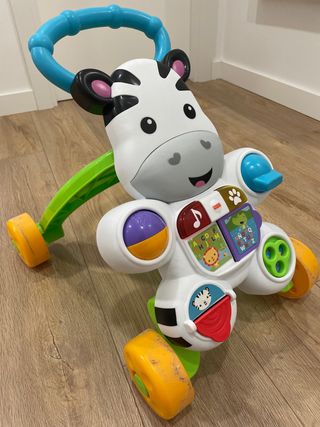 corre pasillos cebra