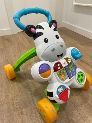 corre pasillos cebra