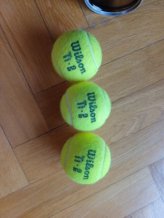 Pelotas de tenis Wilson