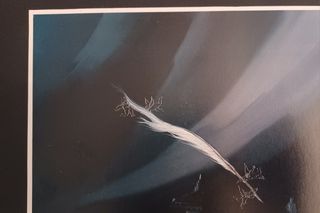 Stampa Verdirosi Libro Morte