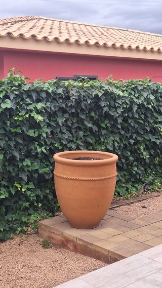 Maceta grande de terracota con tierra incluida