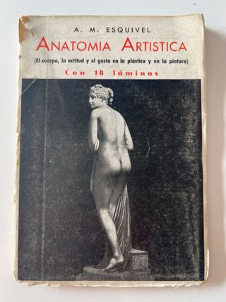 Anatomia Artística