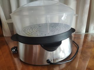 Cocedera de vapor eléctrico