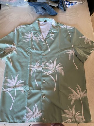 camicia da uomo