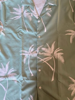 camicia da uomo