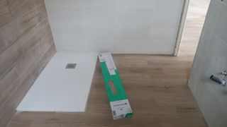 Paleta autonomo