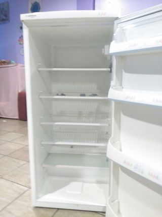Nevera frigorífico 