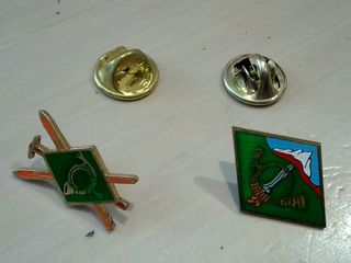 ESCUELA MILITAR DE MONTAÑA LOTE 2 PINS 1975 EMM