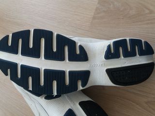 Zuecos lacoste