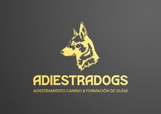 Adiestrador/Educador Canino