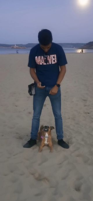 Adiestrador/Educador Canino