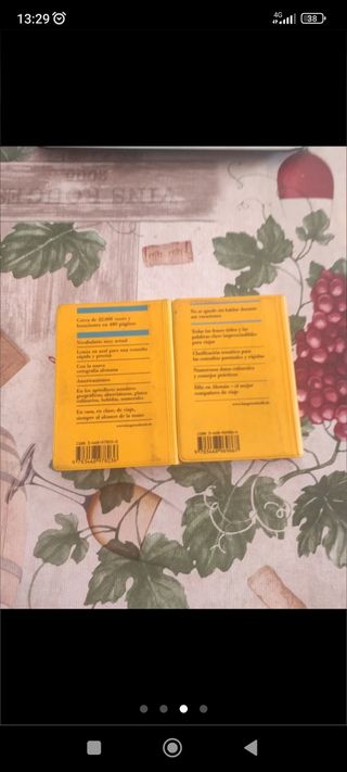 Lote dos diccionarios alemán/ español