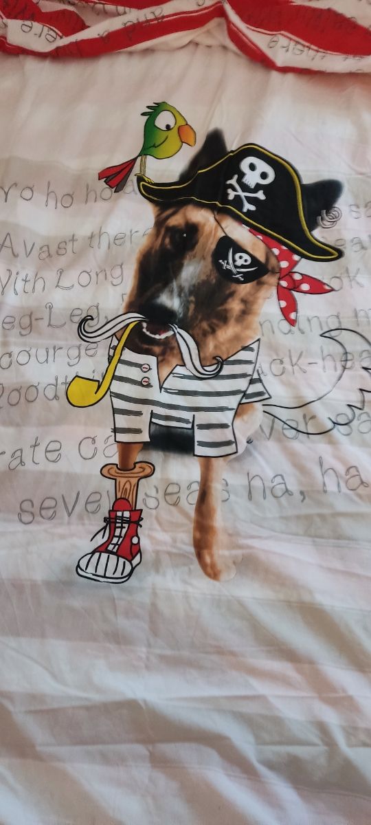 Cama extensible con colchon y funda nordica