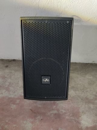 PAREJA ALTAVOCES DAS