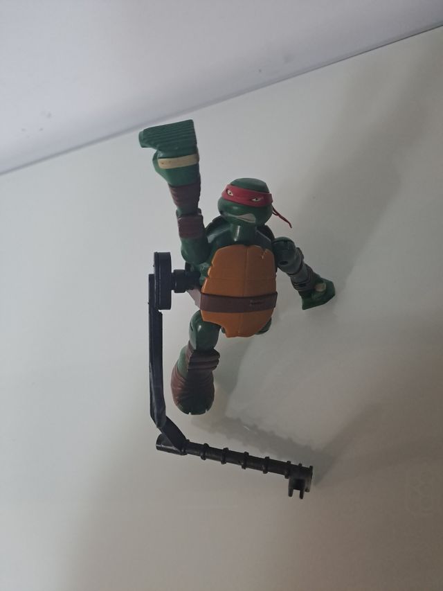 Tortuga ninja