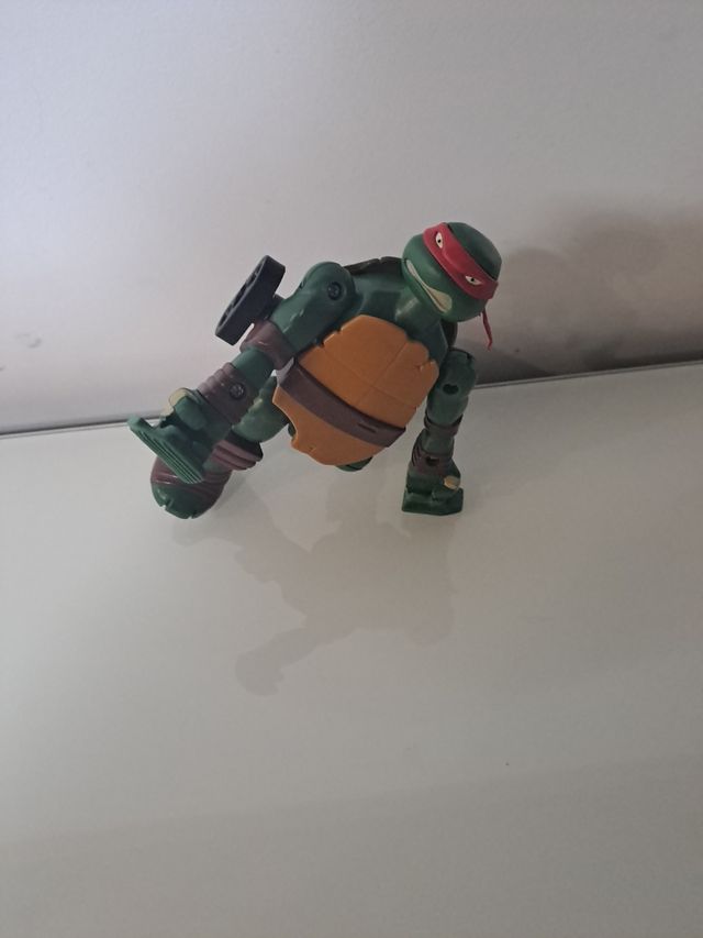 Tortuga ninja