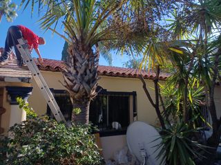 CUBIERTA Y TEJAS TLF.651429938