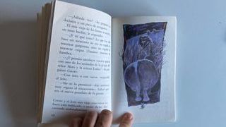 Cerote, el rey del gallinero. A partir de 7 años