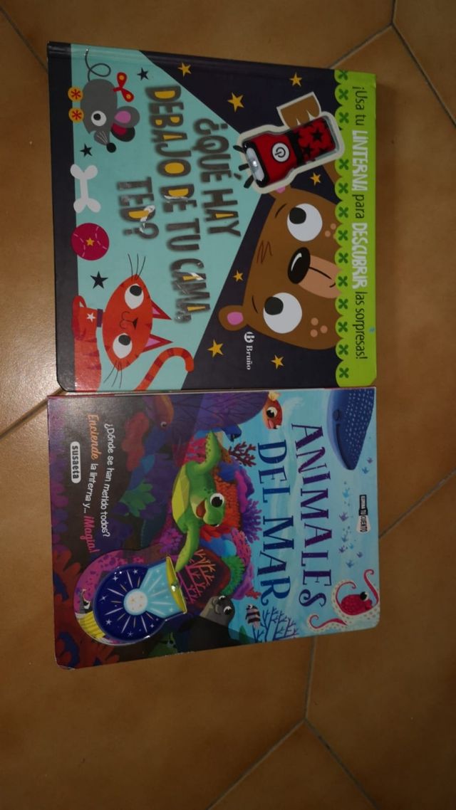 2 Libros con linterna