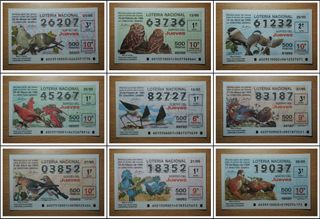 FAUNA 1994-1995 décimos lotería nacional (67)