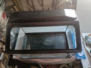 Acuario 60 L