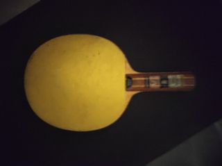 Raqueta de Ping Pong