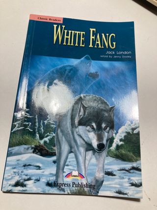 Inglès Lote de Libros