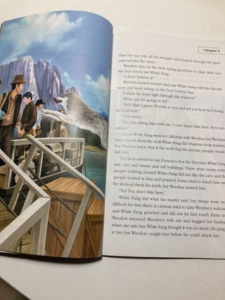 Inglès Lote de Libros