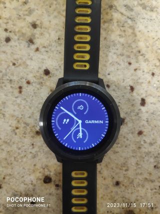 Carmín Vivoactive 3