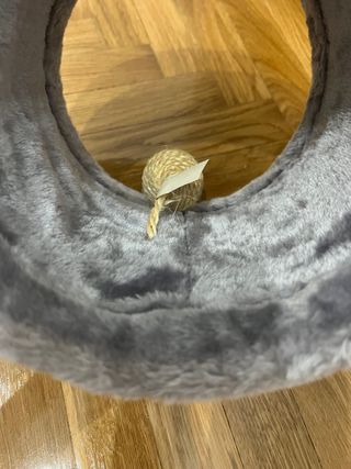 RUEDA JUEGO SISAL/PELUCHE GATO RASCADOR GRIS BEIGE