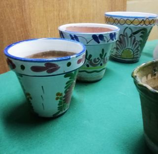 Macetas de cerámica y plástico.