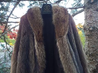 Pelliccia Marmotta Canadese come Nuova