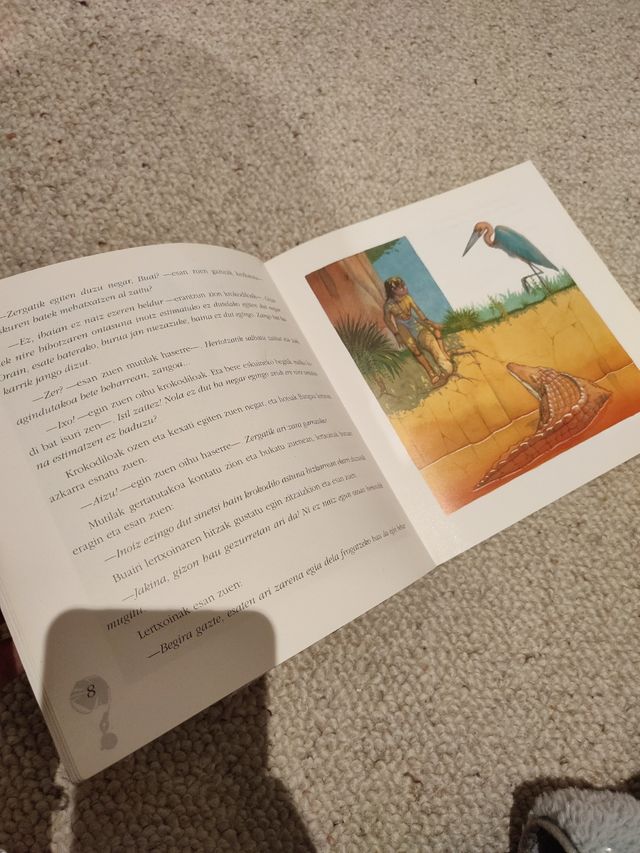 Libro infantil "Ipuin Unibertsalak"