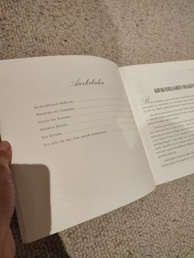 Libro infantil "Ipuin Unibertsalak"