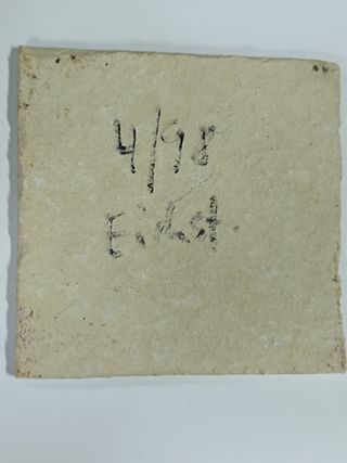 Placa fósil de crustáceo. Gamba.